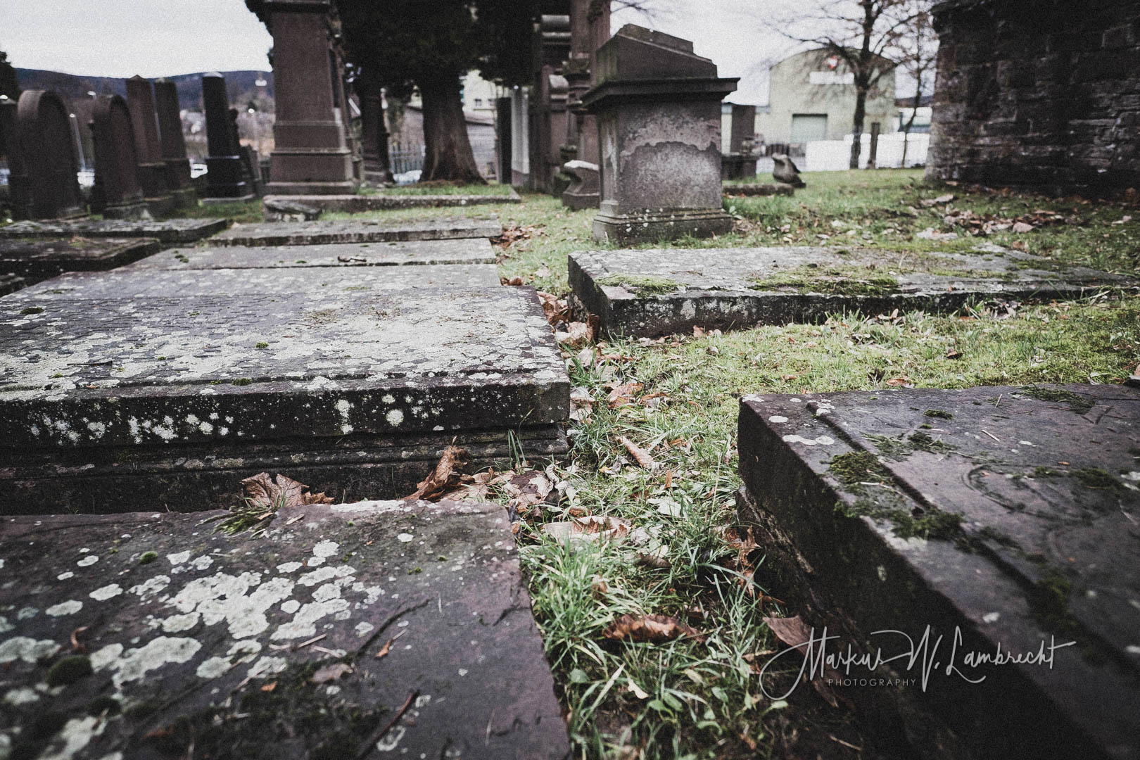 Stadtoldendorf, Jüdischer Friedhof